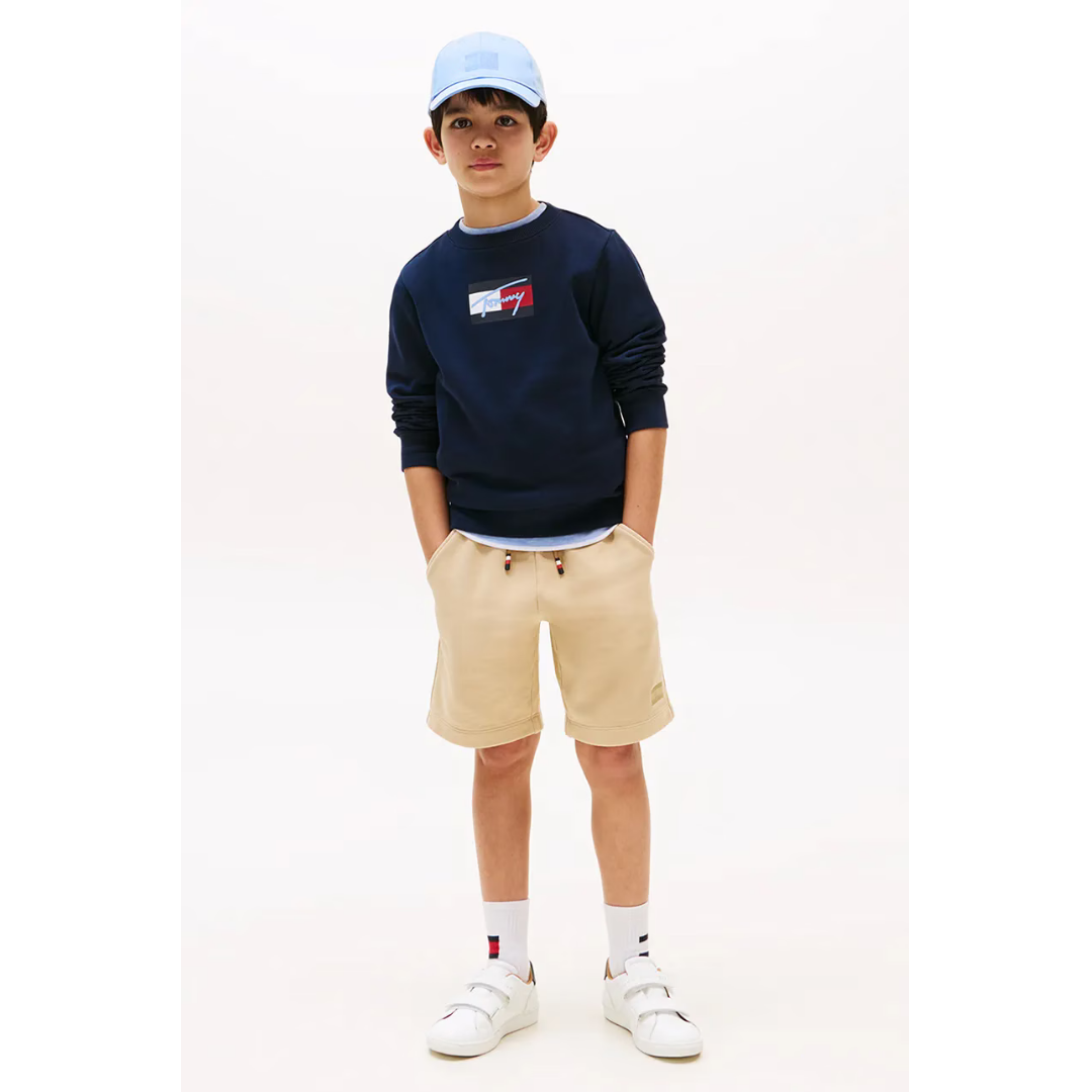 Tommy Hilfiger - Blue Logo Flag Sweatshirt